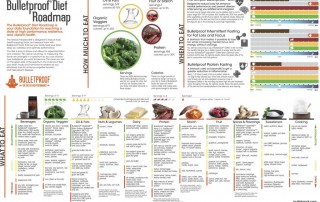 Bulletproff Diet Roadmap poster