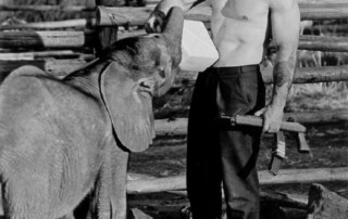 Arthur Jones, founder of Nautilus Exercise Equipment Feeds His Elephant
