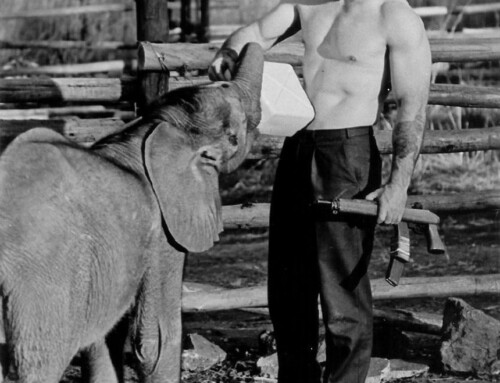 Arthur Jones Top Quotes On Exercise